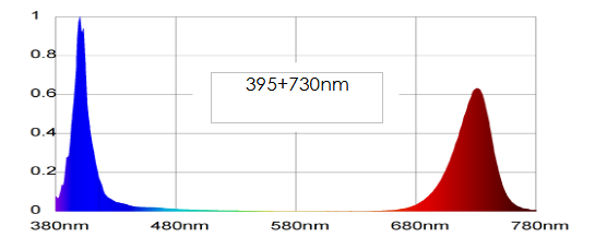 Spectrum UV and IR