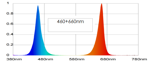 Spectrum red and blue